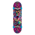 Santa Cruz Obscure Hand Skateboard Complete