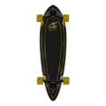 Santa Cruz Holo Flame Pintail Longboard Complete